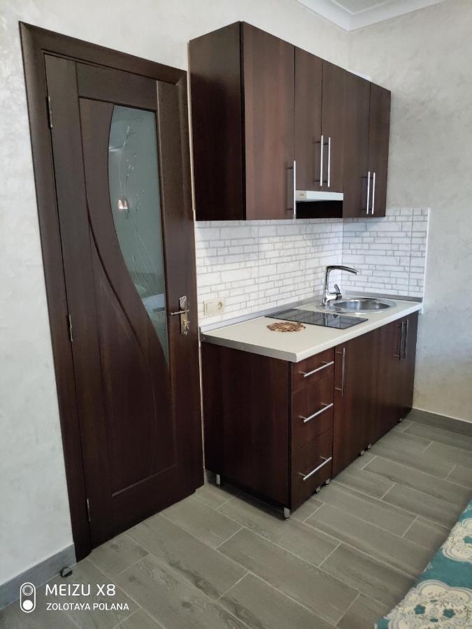 Золота Поляна Appartement Buitenkant foto